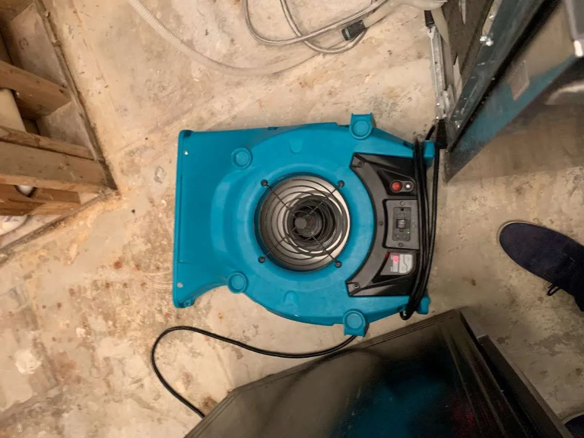 Air mover drying equipment for Mold Remediation & Removal in Semmes