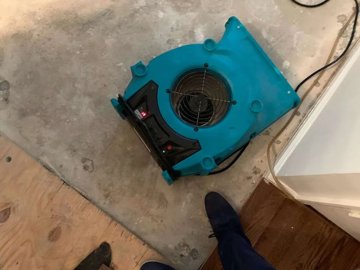 Air mover drying subfloor during Leak Detection & Repair in Semmes